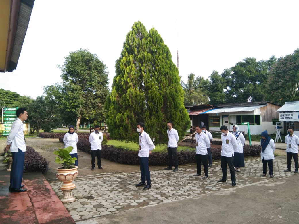 WhatsApp Image 2022 01 17 at 08.22.41